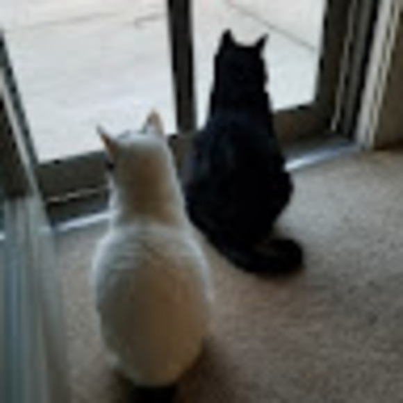 Meet your Posher, Rhonda - Picture 1 of 1